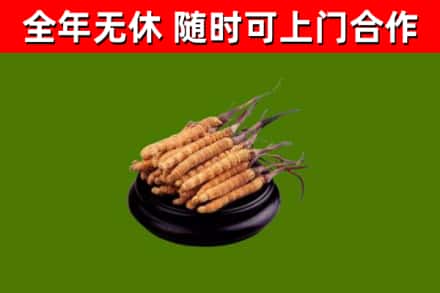 黔东南烟酒回收冬虫夏草.jpg